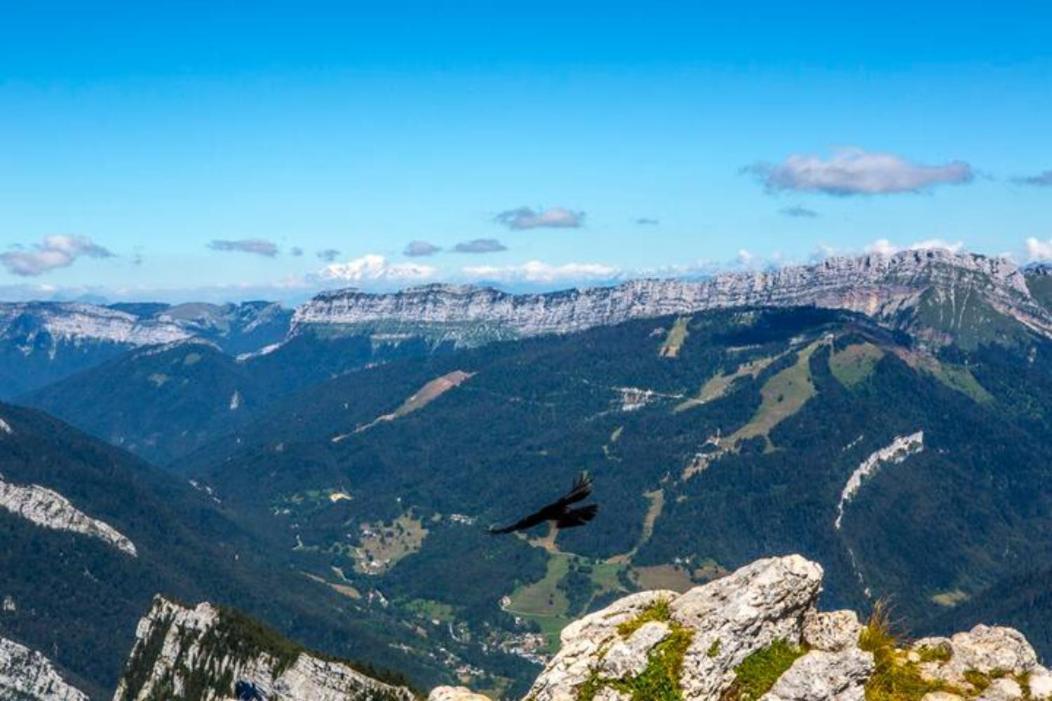 Le Mas Dauphinois Le Grand-Lemps Exteriör bild